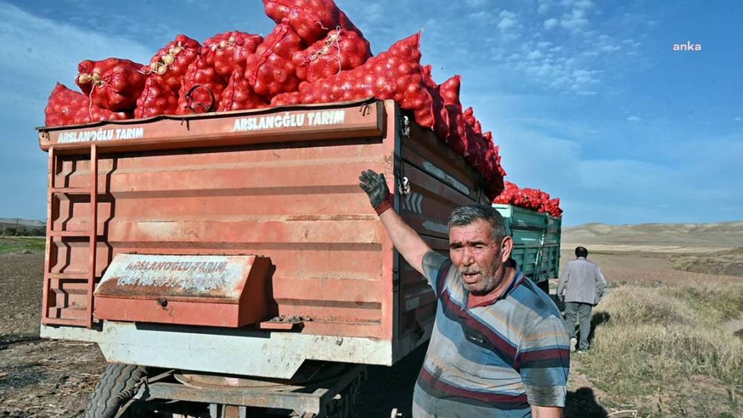 Üreticiye soğan şoku: Tonlarcası depolara kaldırılıyor! Bu kez de fazla üretim başlarına dert oldu 12